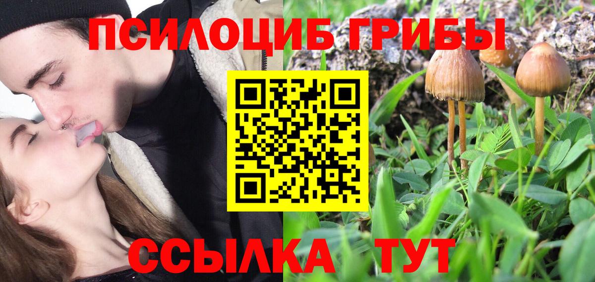 Псилоцибиновые грибы ЛСД  Вход с VPN  Карпинск 
